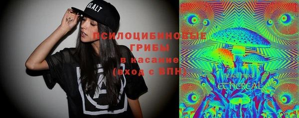 кокс Арсеньев