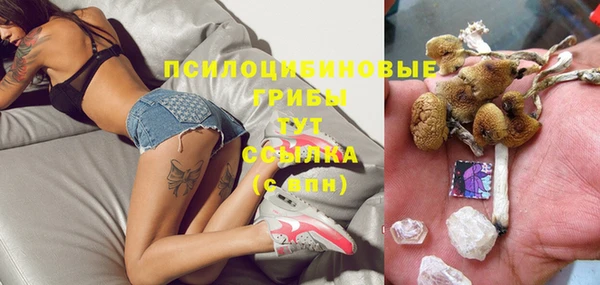 прущие крисы Армянск