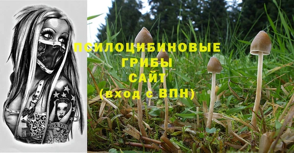 прущие крисы Армянск