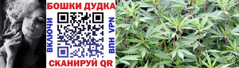 Бошки марихуана MAZAR Нея